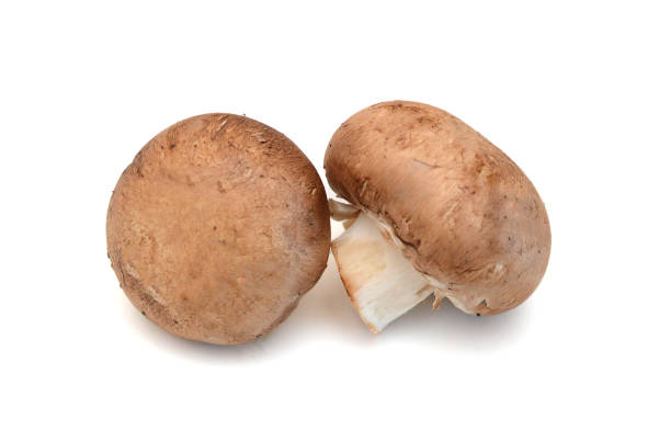 istock Brown mushrooms isolated on white background 1630814161