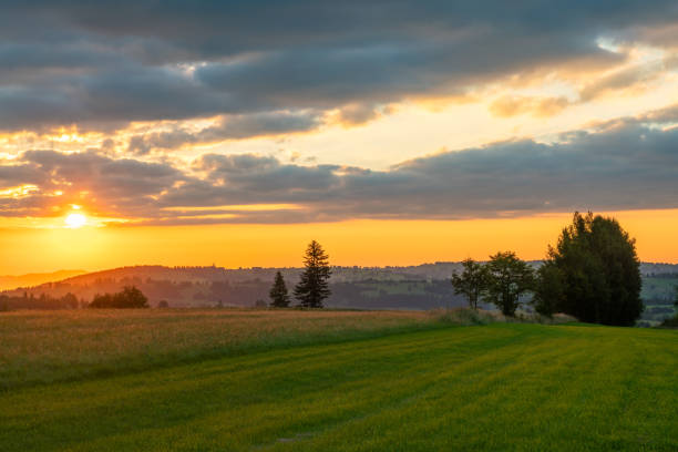 istock Sunrise over a freshly-mown mountain meadow 1630817348