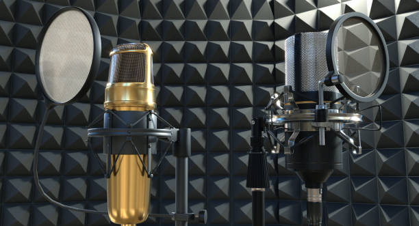 istock Modern microphones in the recording studio 1630820506