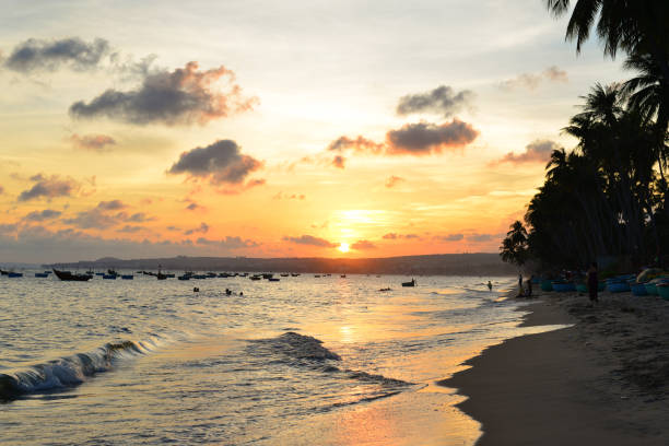 istock Tropical beach with many palm trees at sunset 1630823680