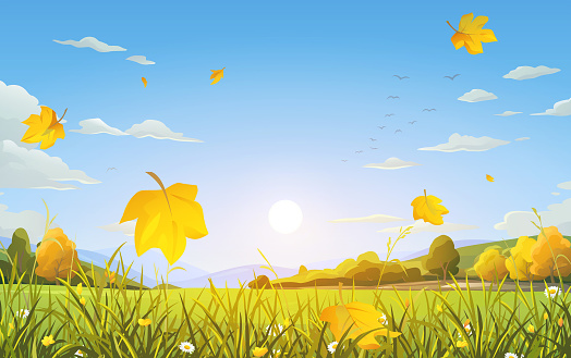 Yellow leaves falling on a beautiful meadow with grass and flowers. In the background are hills, mountains, a bright sun in a blue cloudy sky. Vector illustration with space for text.