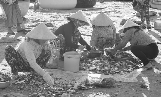 Phan Thiet, Vietnam - Mar 19, 2016. Group of women selling fish at the pier in Mui Ne town, Phan Thiet, Vietnam. Mui Ne is a coastal fishing town in the Southern Vietnam.