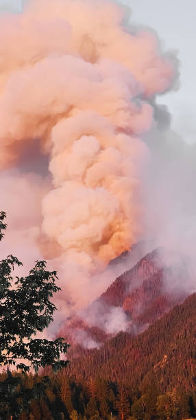 istock Fire Sparks From Lighting Strike on Big Knife Mountain 1630853329