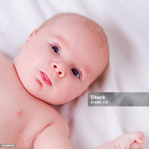 De Pôr Em Branco Folhas - Fotografias de stock e mais imagens de Bebé - Bebé, Beleza, Bochecha