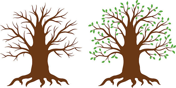 Thick vector tree vector art illustration