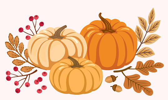 Garden harvest pumpkins, autumn leaves and berries, decorative composition, isolated on white background. Autumn festival invitation, postcard, banner. Vector illustration.
