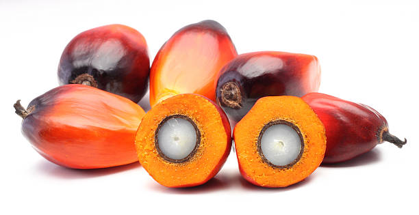 istock Several orange and red palm fruits over a white background 163087985