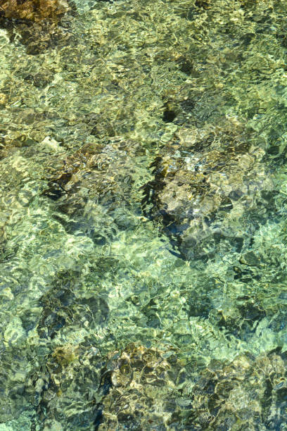 istock Sea detail 1630902422