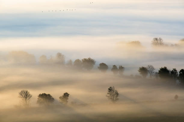 Landscape view at a the sunrise