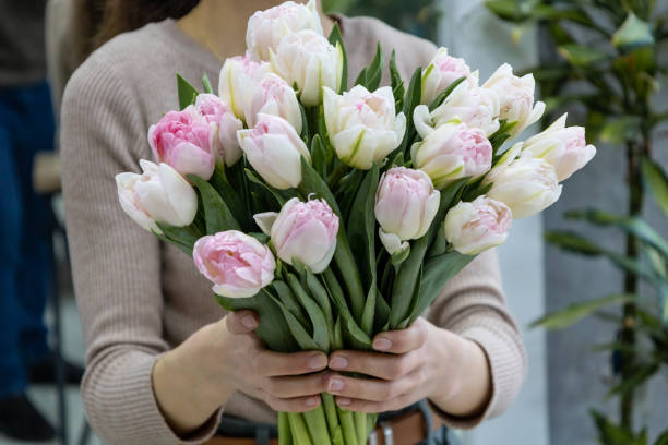 istock Lovely flowers tulips for a gift 1630942847