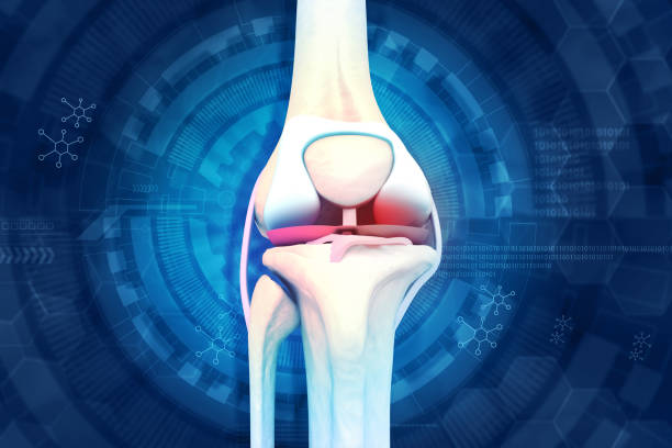 anatomie de l’articulation du genou humain, concept de douleur au genou - human knee pain human spine human joint photos et images de collection