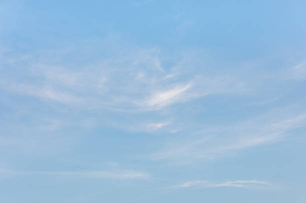 istock looking at the blue sky at sunset 1630977033