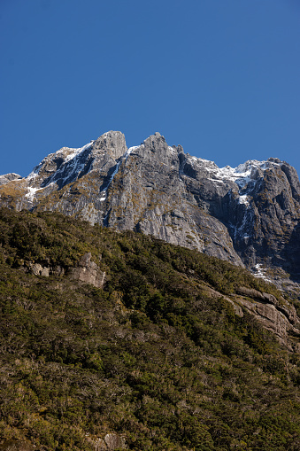 An image of a rocky cliffside with snow on it's peak. In the foreground is another hill with lush green plantlife. This photo was taken in the Milford sounds of New Zealand