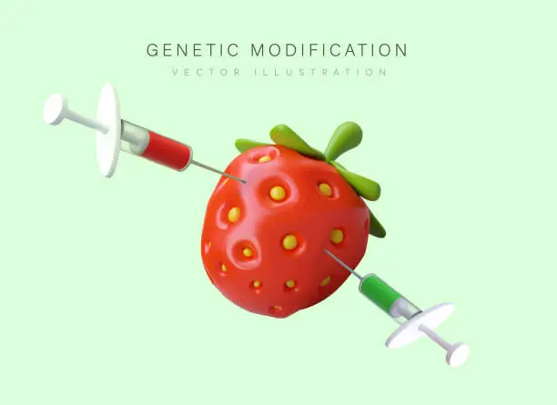 Vector illustration of 3D strawberry pierced by two syringes with liquid. Genetic engineering, GMO