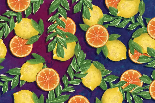 Vector illustration of Oranges and lemons