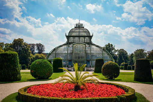 Lush green botanical garden in the city, no people