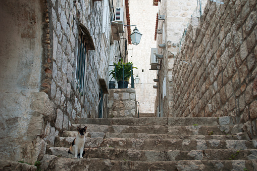 Medieval Stone Houses with Stairs in Dubrovnik Old Town. Traditional Architecture of Southern Croatia