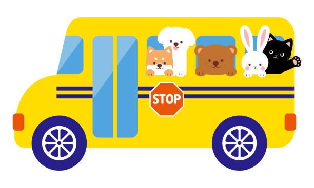 940+ Dog Bus Stock Illustrations, Royalty-Free Vector Graphics