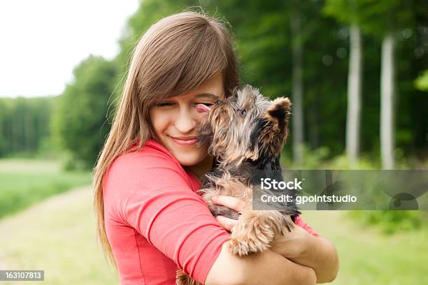 子犬の愛 - ヨークシャーテリアのストックフォトや画像を多数ご用意 - ヨークシャーテリア, 女性, 抱きしめる