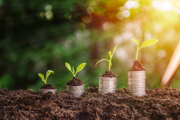 istock A seedling growing on a pile of coins has a natural backdrop, blurry green, money-saving ideas and economic growth. 1631083601