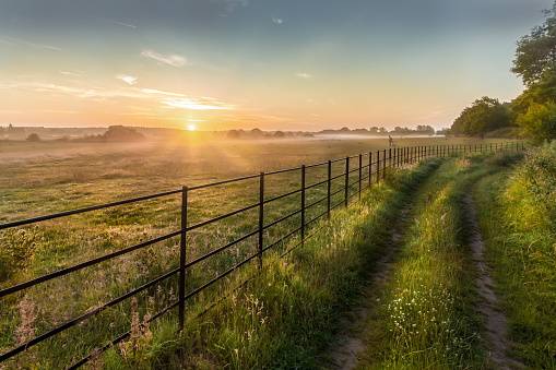 Rural England sunrise over metal fence and farm track or footpath. Grass meadows and trees landscape in Summer
