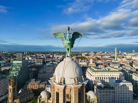 Liverpool, Merseyside, UK, August 9, 2023; Aerial close up view of a Liver Bird on the Royal Liver Building, Pier Head Waterfront on a Sunny Afternoon, Liverpool, Merseyside