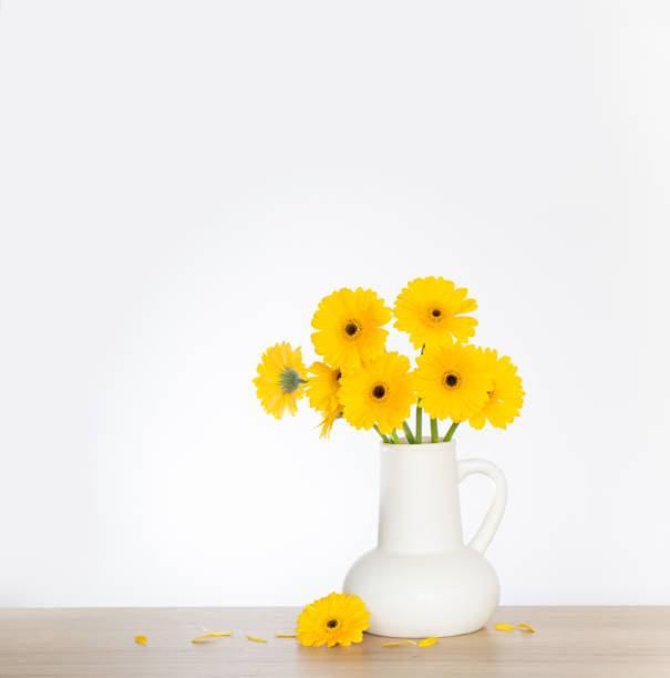 istock yellow gerbera in  white jug  on wooden shelf  on background wall 1631102178