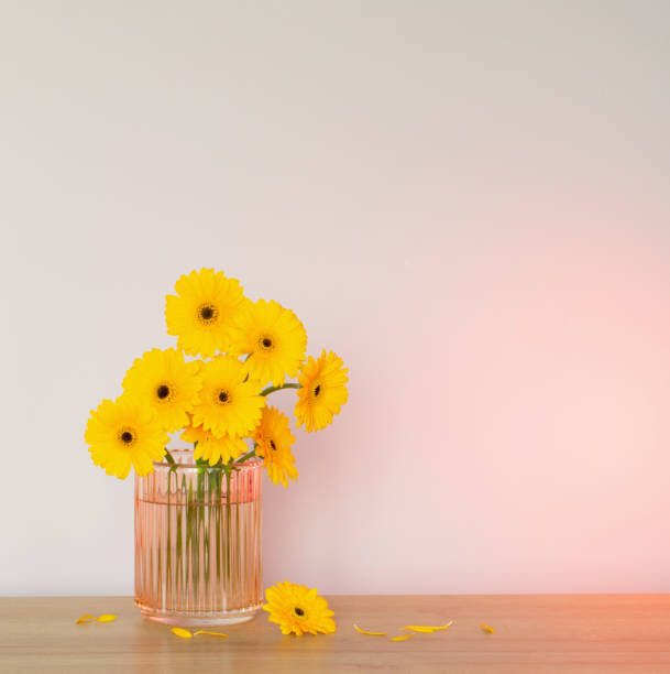 yellow gerbera in glass vase on wooden table on background wall