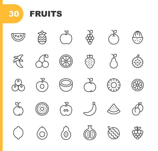 Vector illustration of Fruits Line Icons. Editable Stroke. Contains such icons as Apple, Banana, Blueberry, Cherry, Coconut, Diet, Ecology, Exotic, Fruit, Grapes, Kiwi, Lemon, Mango, Orange, Peach, Pear, Pineapple, Plum, Pomegranate, Strawberry, Vegan, Vegetarian, Watermelon.