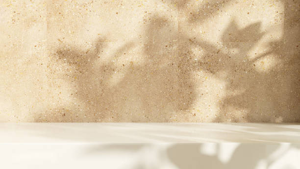 istock Minimal empty white marble counter top in sunlight, leaf foliage shadow on brown terrazzo wall 1631134756