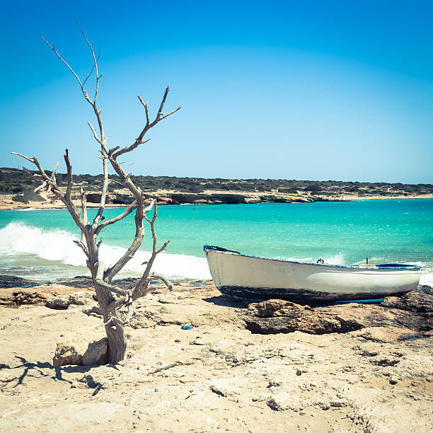 Dry tree and small boat on a great beach of Koufonissi, Cyclades Islands, Greece.