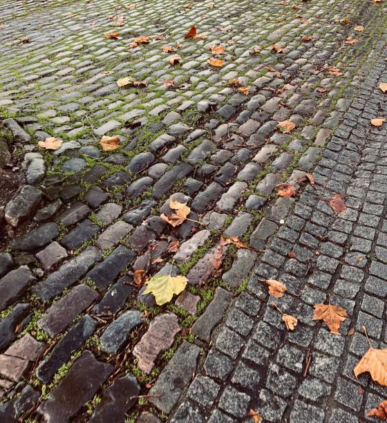 istock Old cobblestone pavement with autumn leaves 1631146146