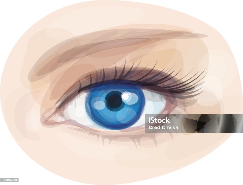 Vector de ojo azul hermosa mujer. - arte vectorial de Ojos azules libre de derechos