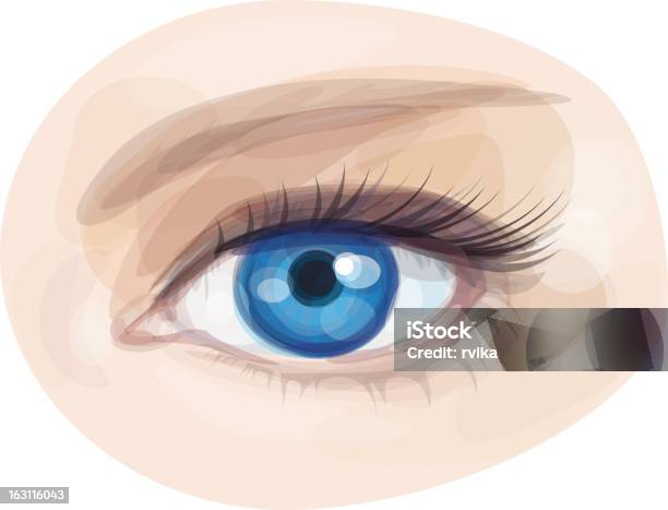 Ilustración de Vector De Ojo Azul Hermosa Mujer y más Vectores Libres de Derechos de Ojos azules - Ojos azules, Ojo, Primer plano