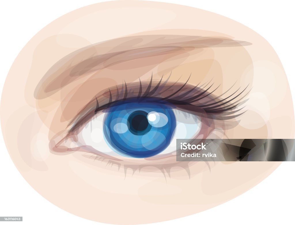 ベクトルの美しいブルーの女性の目。 - 青い目のロイヤリティフリーベクトルアート