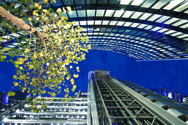 Illuminated Tree Between Corporate Buildings in London at Night