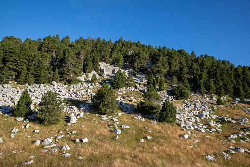 ancient Roman quarries, on the high plateaus of Vercors