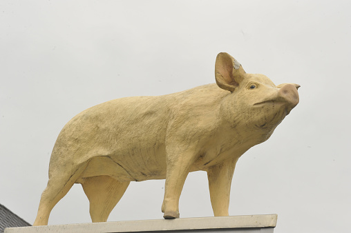 a symbol of a pig, a domestic and farm animal