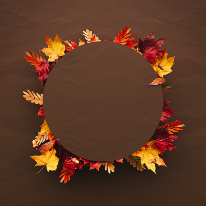 Autumn mockup banner. Empty brown paper podium decorated with colorful autumn leaves on brown background. 3D Rendering, 3D Illustration