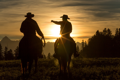 Cowboys riding across grassland with mountains behind, early morning, British Columbia, Canada