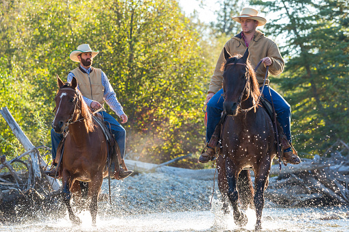 Cowboys on Horses walking through river, British Columbia, Canada