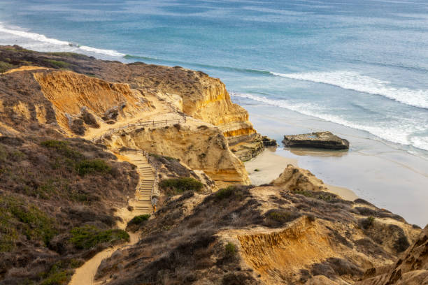 Flat rock and Torrey pines cliff, San Diego California Flat rock and Torrey pines cliff, San Diego California torrey pines state reserve stock pictures, royalty-free photos & images