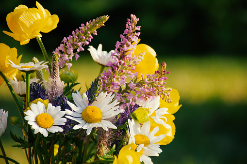 wildflowers, bouquet on a blurred green background. High quality photo