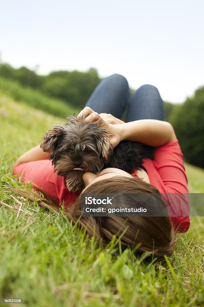 Young woman holding Yorkshire terrier Grass Stock Photo