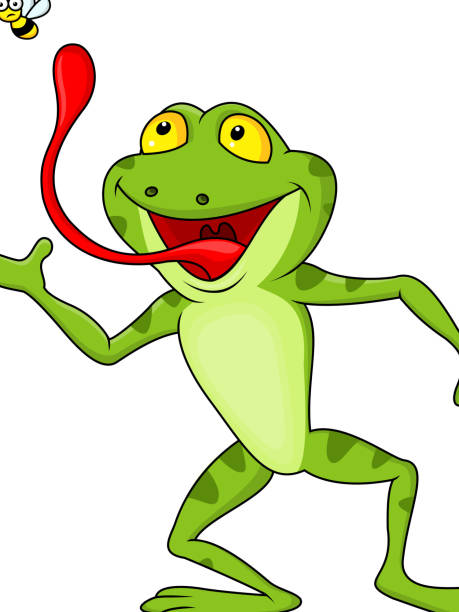 забавный мультяшный лягушка ловить fly - frog animal tongue animal eating stock illustrations