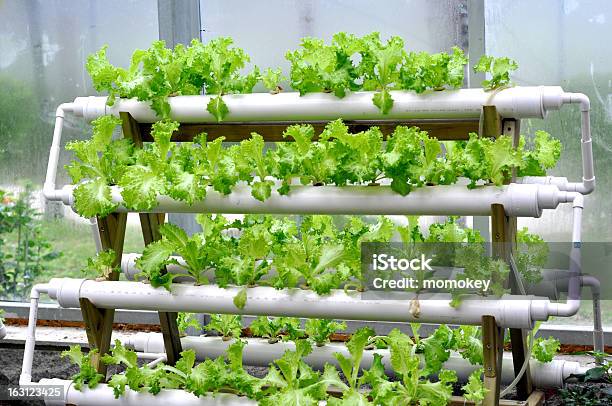 Moderne Landwirtschaft Stockfoto und mehr Bilder von Hydrokultur - Hydrokultur, Agrarbetrieb, Ausrüstung und Geräte