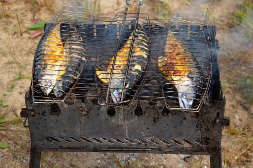 Fried appetizing fish on barbecue, picnic food close-up. High quality photo