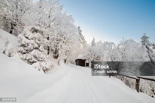 Piękny Zimowy Wschód Słońca Zdjęcie W Góry - zdjęcia stockowe i więcej obrazów Bez ludzi - Bez ludzi, Biały, Drzewo