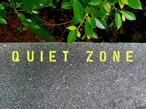 istock Cement background with text sign QUIET ZONE, means controlling noise and improving privacy to focus on study like workplace library, hospital or meditation place or area where mobile phones are banned 1631254050