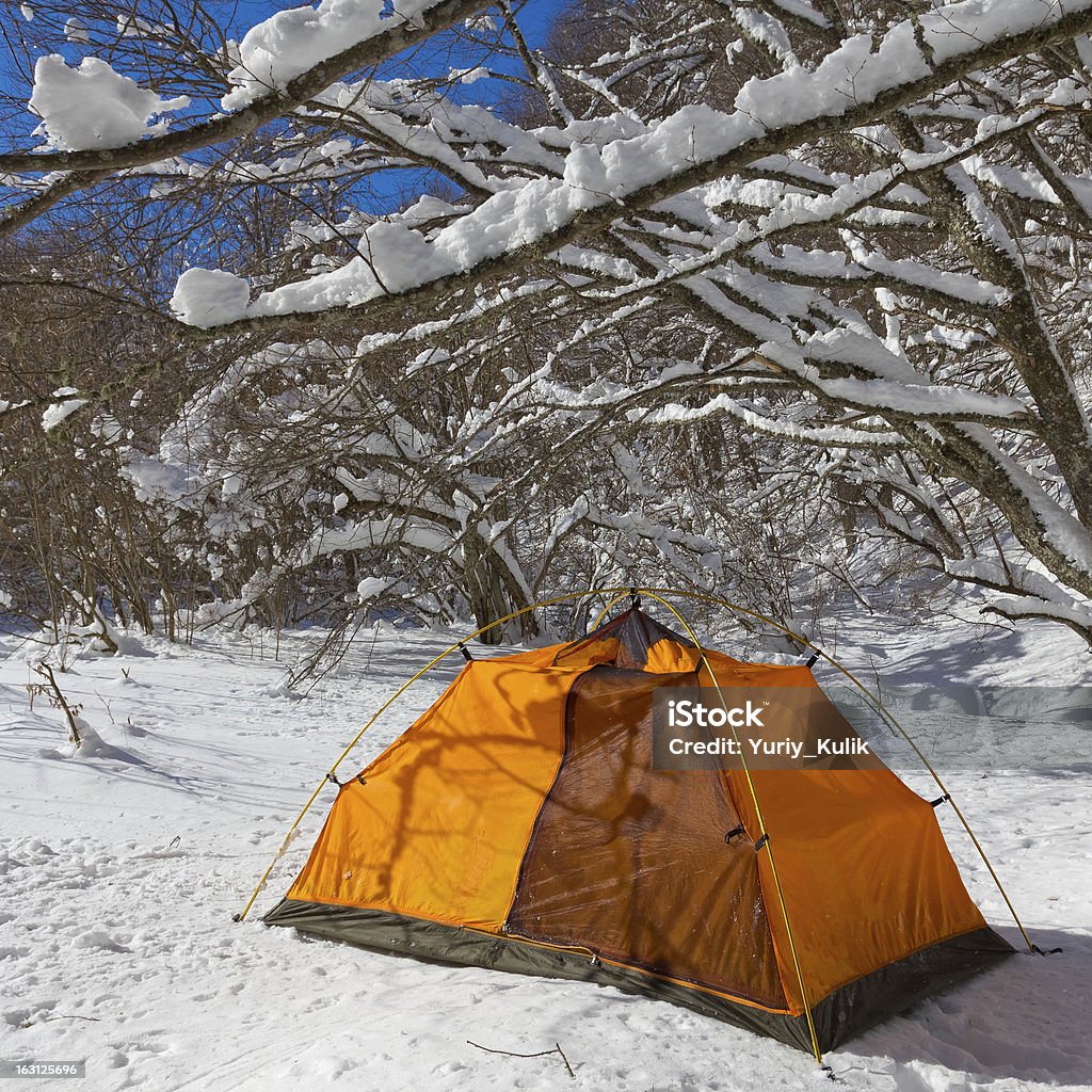 Pomarańczowy turystycznej Namiot w lesie zimą - Zbiór zdjęć royalty-free (Badanie)
